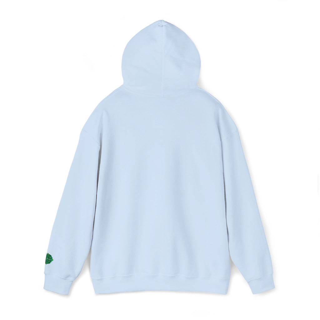 Come and Take It 2A Patriotic Hoodie