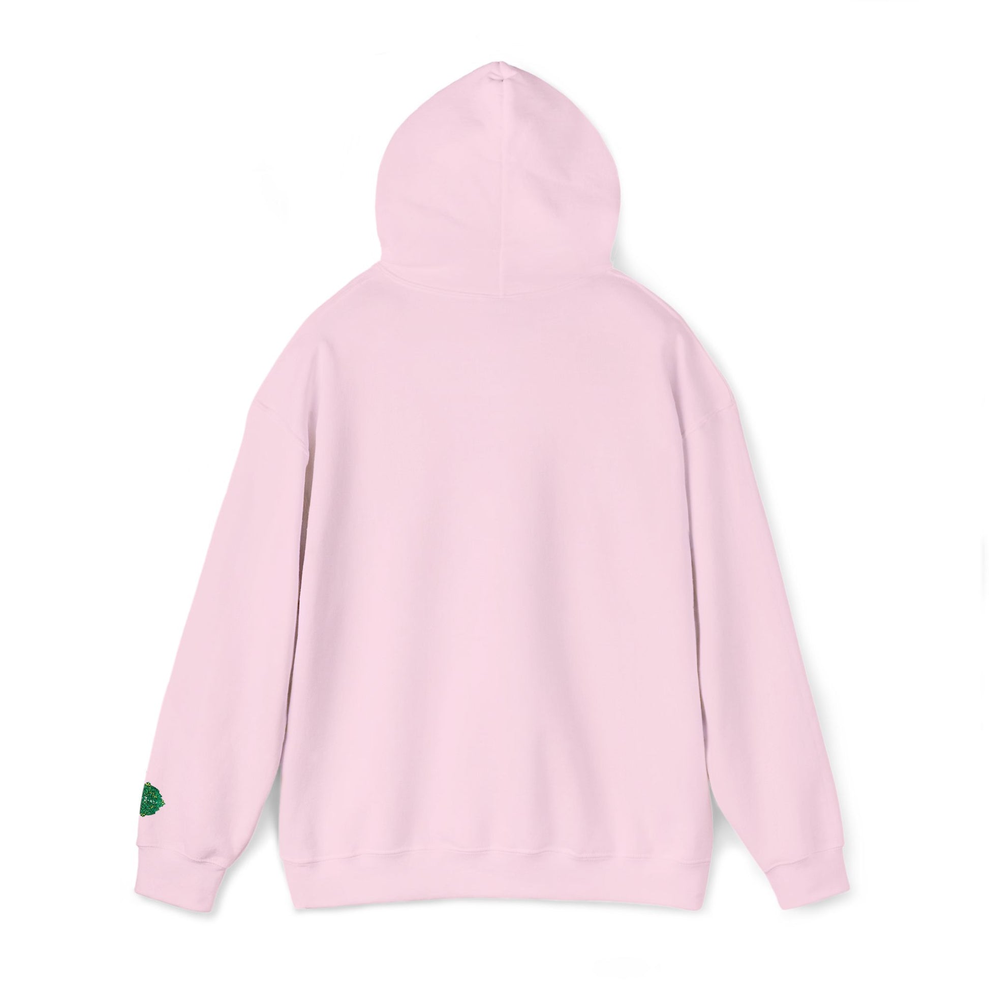 Come and Take It 2A Patriotic Hoodie